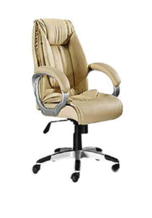 OC10 – Office Chair